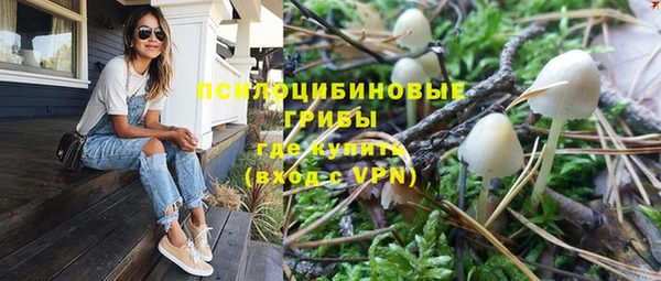 дурь Алексин
