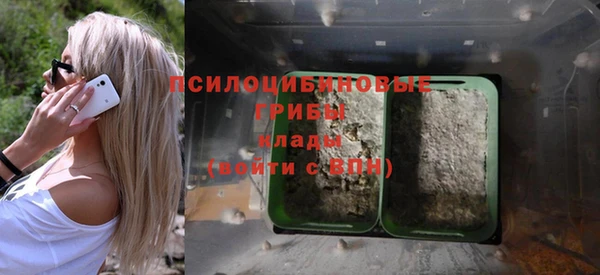дурь Алексин